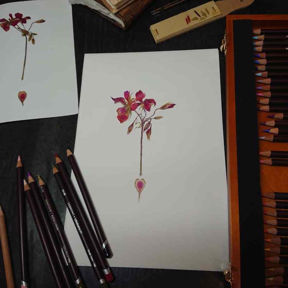 Process work on flowers. Red flower with pencils.